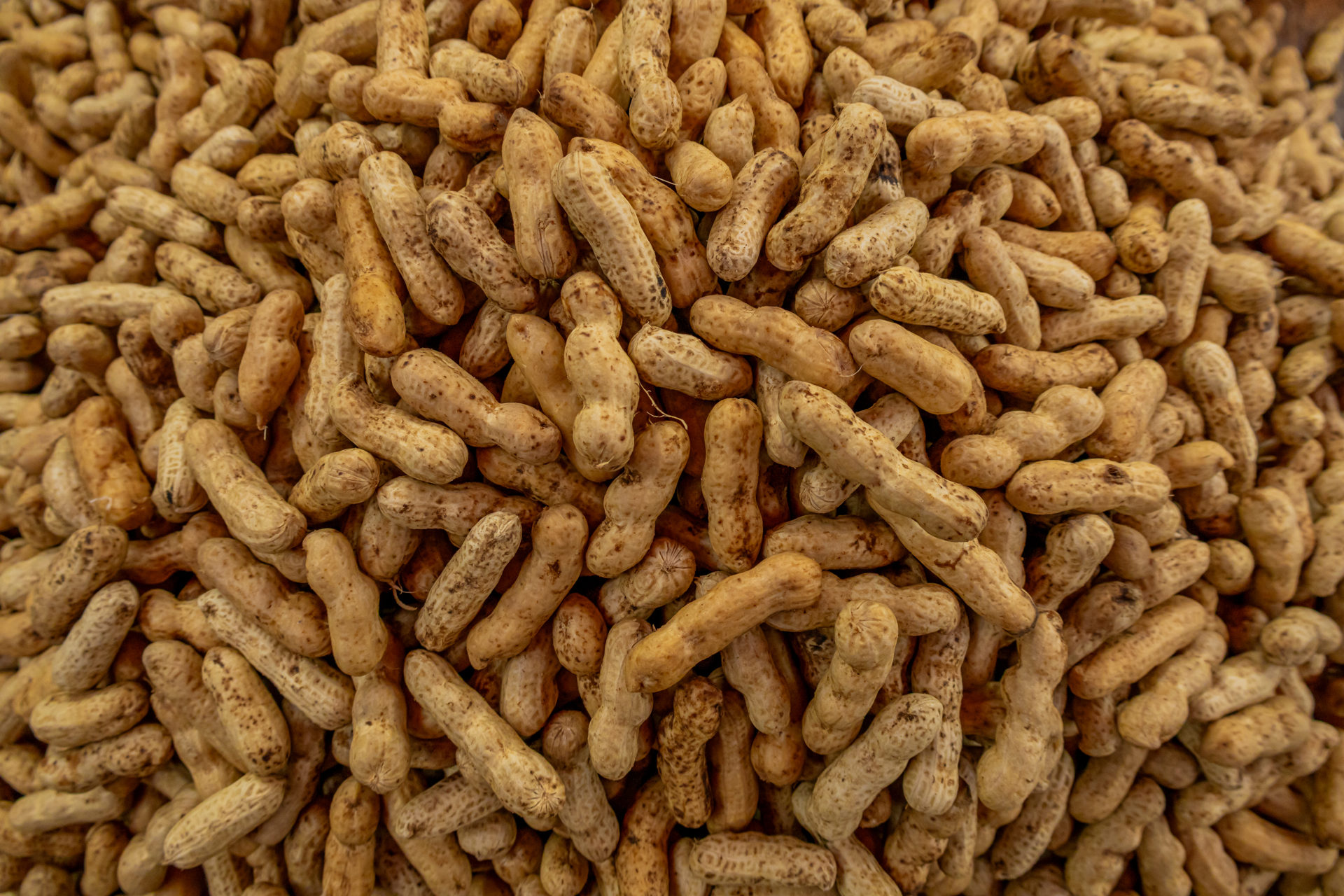 Amendoim Cozido