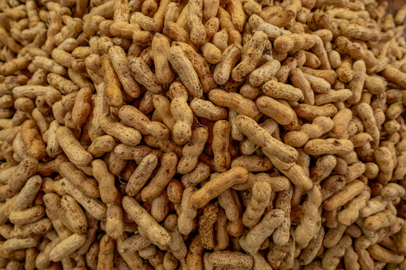Amendoim Cozido