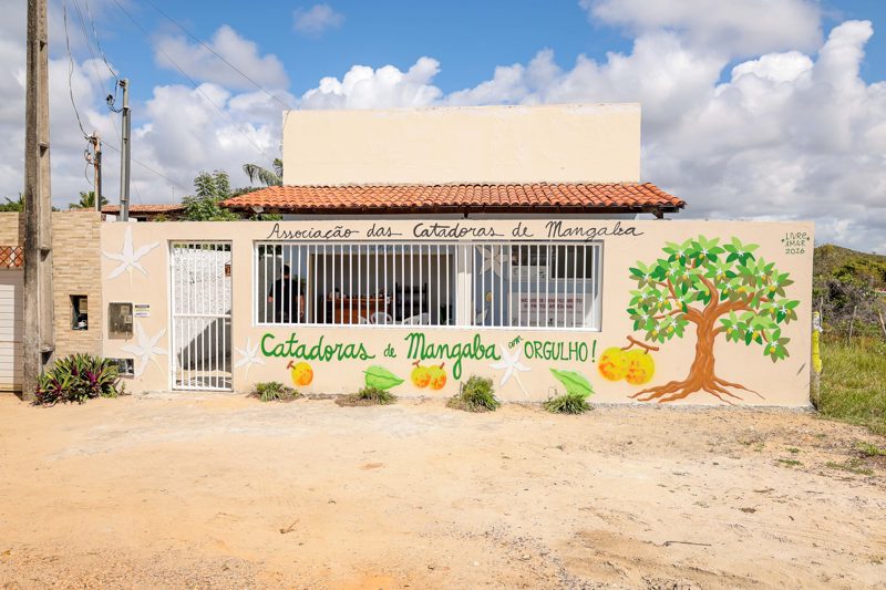 Associação das Catadoras de Mangaba do Povoado Manoel Dias