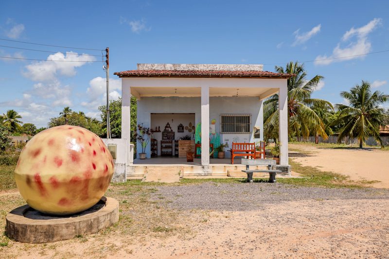 Catadoras de mangaba do Povoado Ribuleirinha